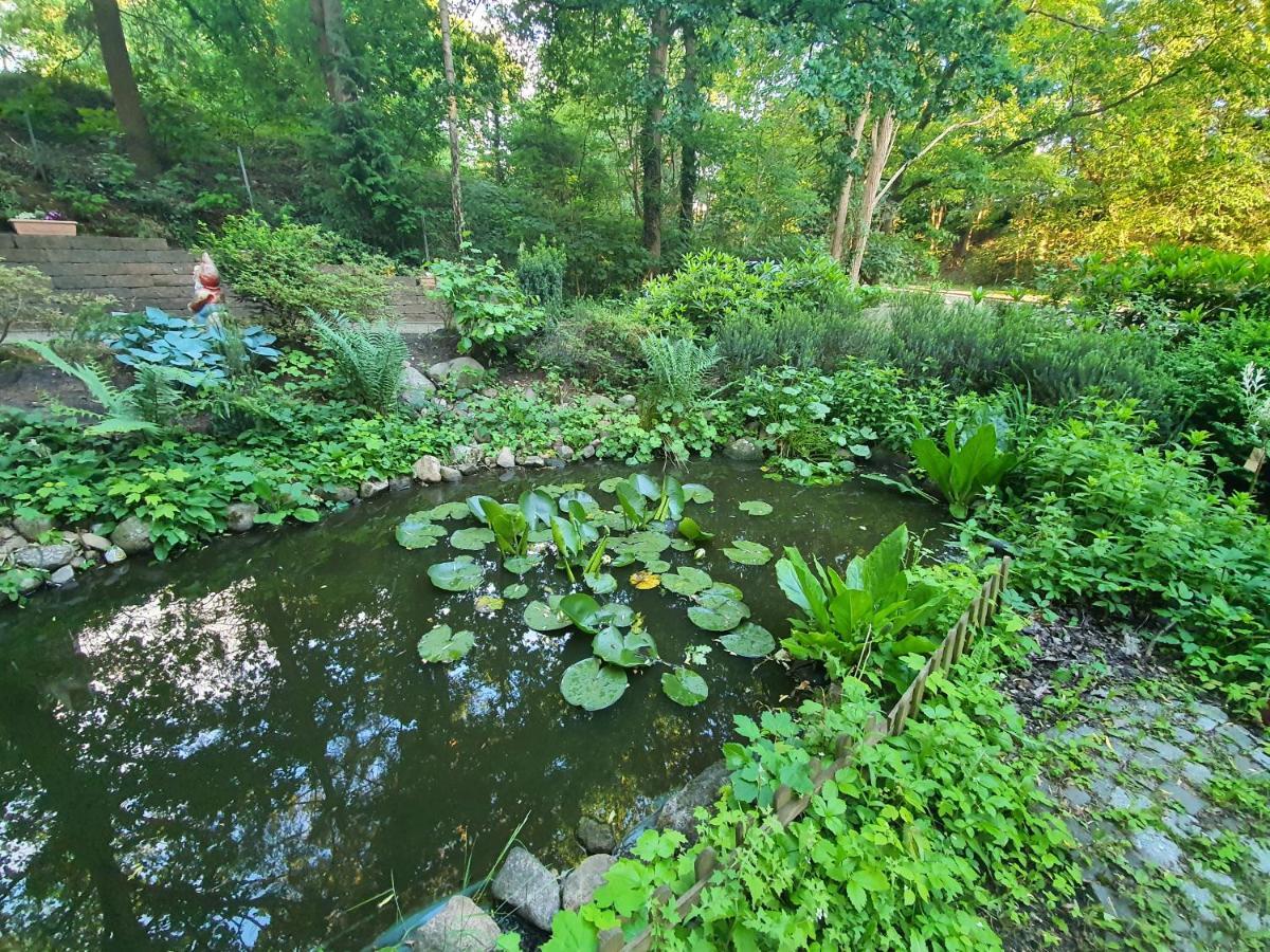 Apartment Bei Hamburg Bis 10 Personen Mit Terasse Und Gartennutzung. Buchholz in der Nordheide Extérieur photo